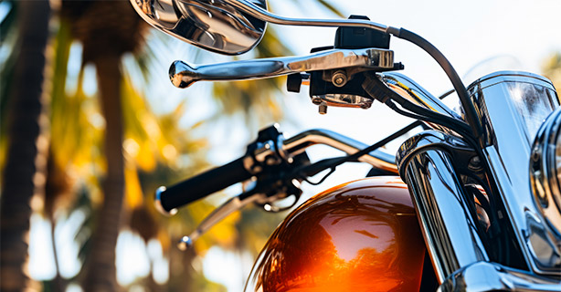 Motorcycle under a palm tree
