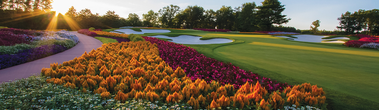 SentryWorld golf course flower hole