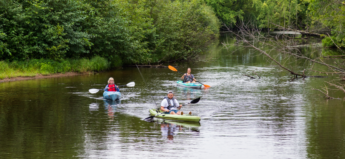 Three people kayaking on a river surrounded by green trees.