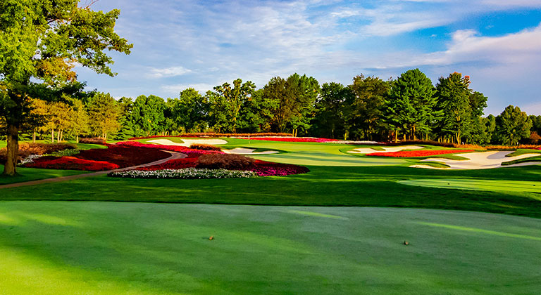 SentryWorld golf course flower hole in summer