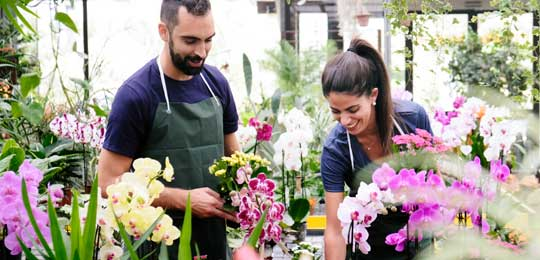Two people working in a flower shop