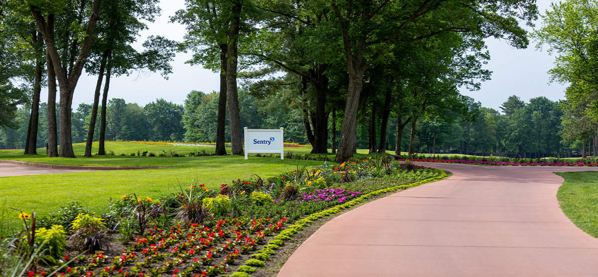 Cart path with flowers along the left side. 