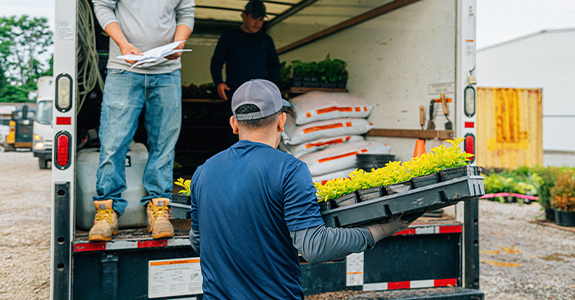 man bringing a tray of plants to delivery truck