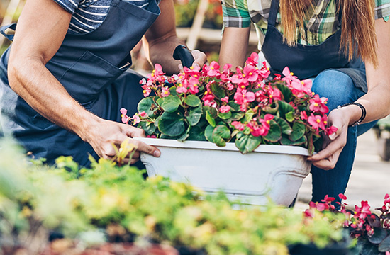 Two people carrying a planted flower