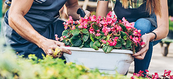 Two people carrying a planted flower