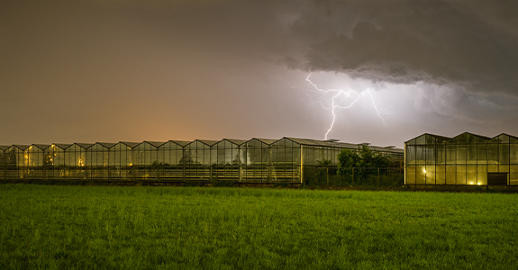 Lightning above greenhouses