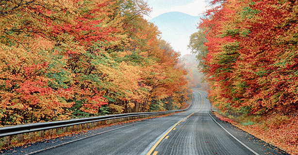 Autumn view of a scenic highway