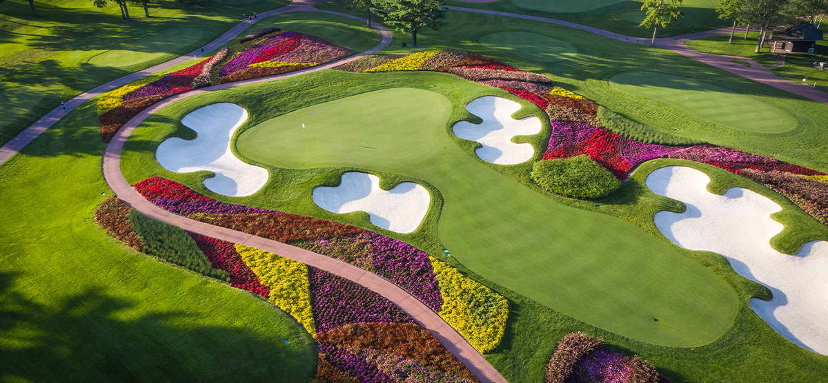 Flower hazard, sand traps, and putting green on the sixteenth hole at SentryWorld