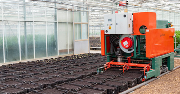 Greenhouse technology helping plant