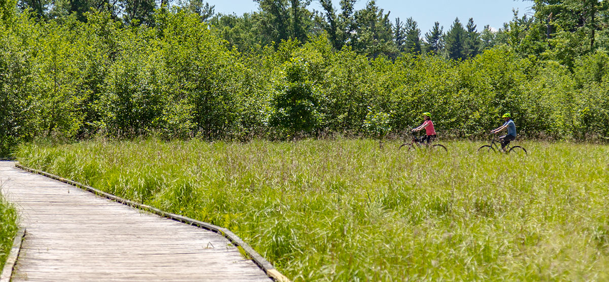 Two bikes on a bike trail in Stevens Point