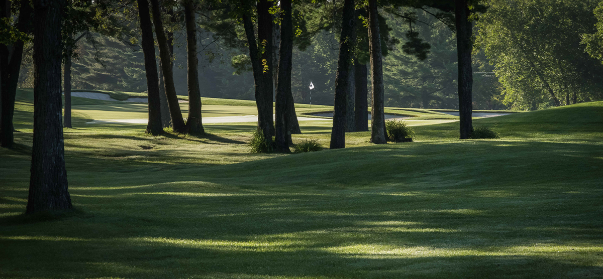 Forest hazard off the first hole at the SentryWorld golf course