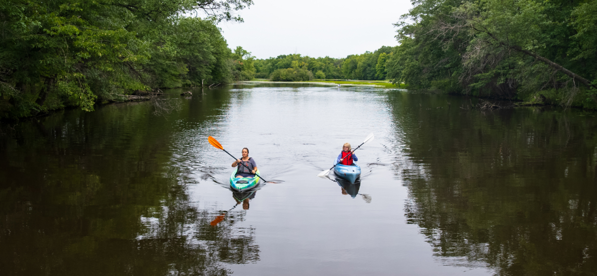 Two people kayaking on a calm river surrounded by lush green trees.