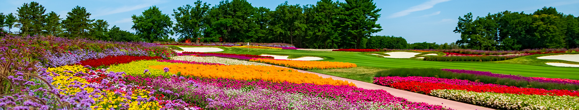 Flower hole on the SentryWorld golf course