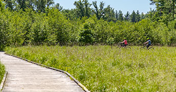 Two people biking on the Schmeeckle Reserve trail in Stevens Point, Wisconsin