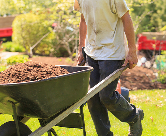 Worker hauling dirt in a wheelbarrow