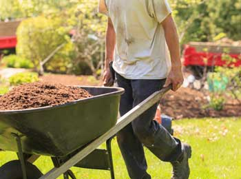 Worker hauling dirt in a wheelbarrow