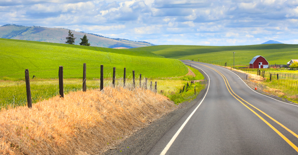 Road next to farm land