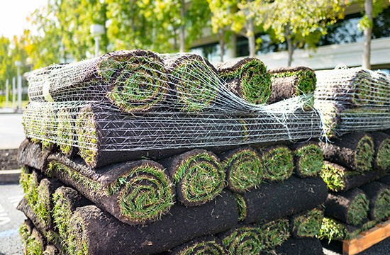 Pallet of sod