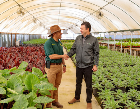 Two men shaking hands in a greenhouse