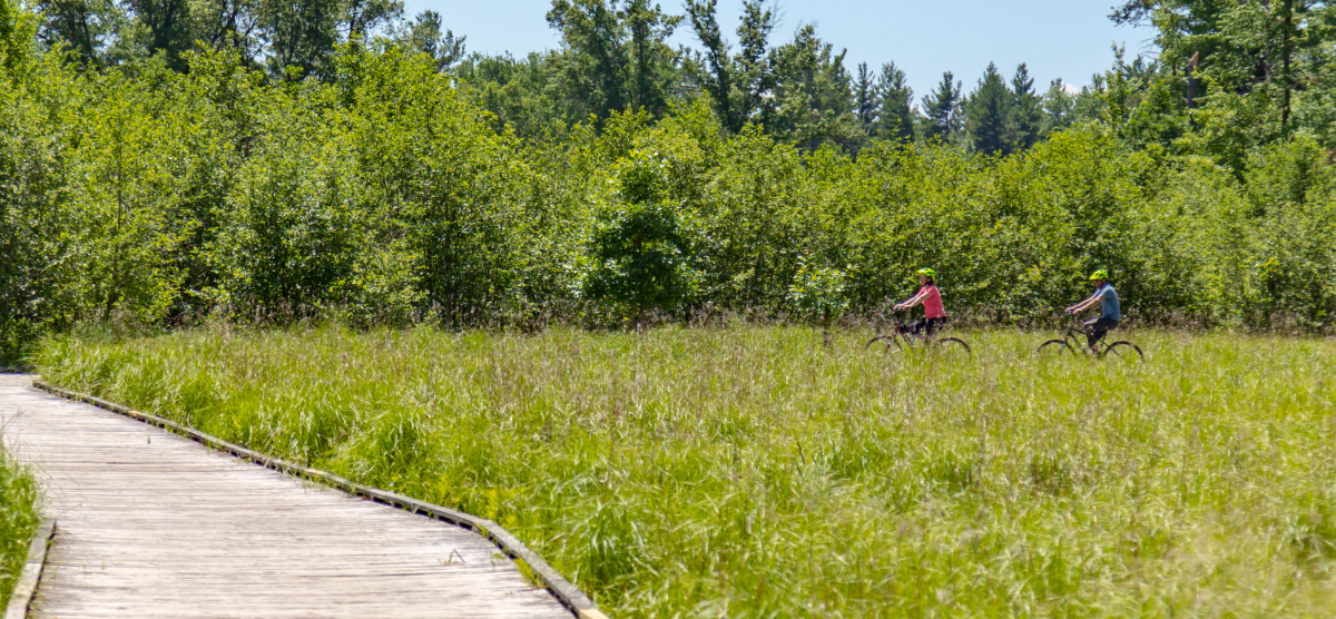 Two people riding bicycles on a boardwalk path across grassy area next to a wooden area.