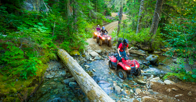 Group of ATV riders in a forest