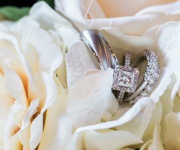 Rings placed within white flowers