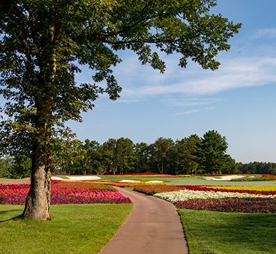 Golf cart path through the flower hole on the SentryWorld golf course