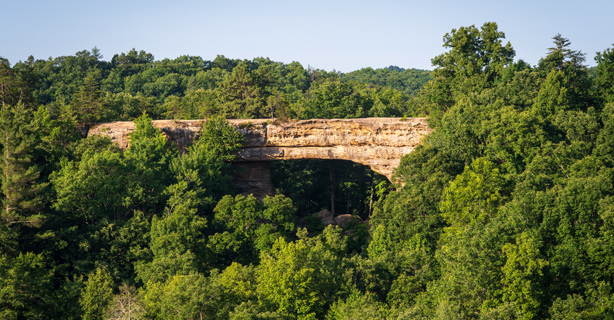 Landscape of Hillbilly Triangle in Kentucky
