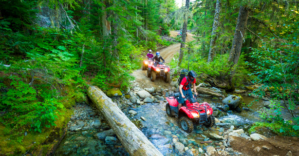 Group of ATV riders in a forest