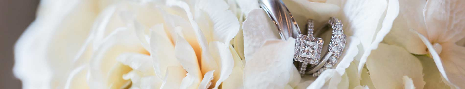 Rings placed within white flowers