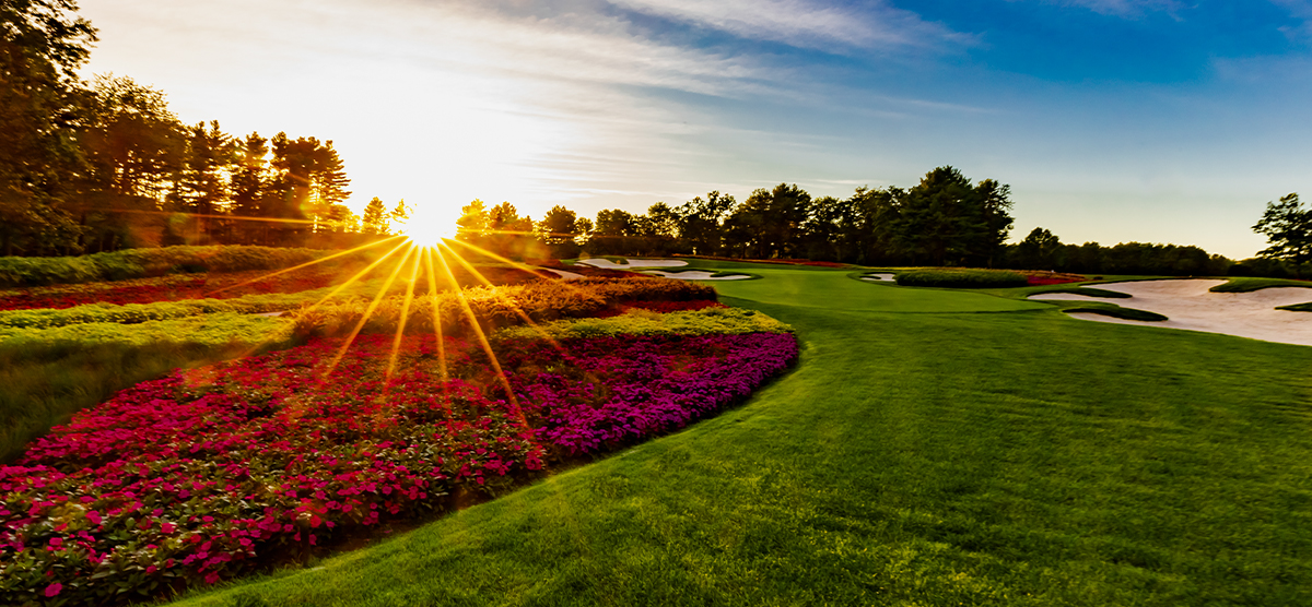 Flowers and sand traps around hole 16 on the SentryWorld golf course