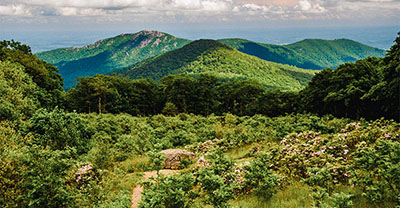 Meadow and view of Old Rag Mountain