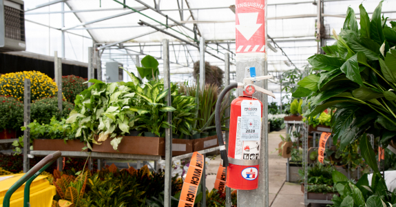 fire extinguisher in greenhouse