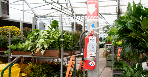 fire extinguisher in greenhouse