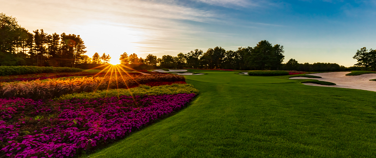 Flower hole fairway and putting green at sunset