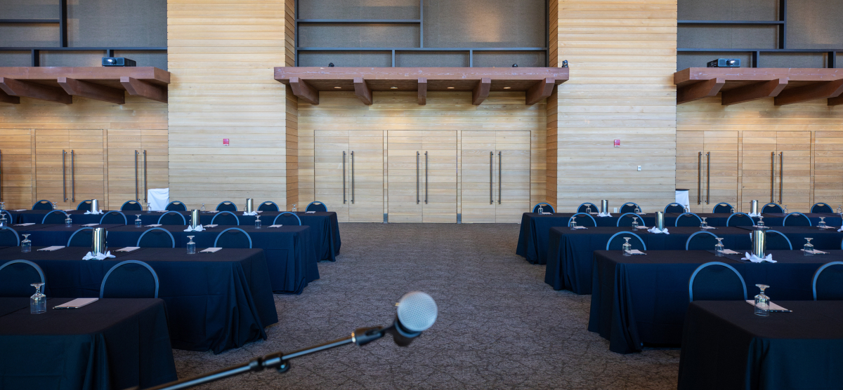 carousel-meeting-services-av-1200x556-04 Audio visual equipment at SentryWorld.