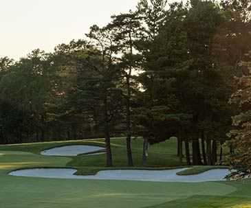 Fairway with sand traps in the SentryWorld golf course