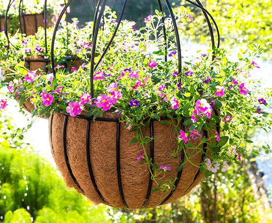 Hanging flower pot