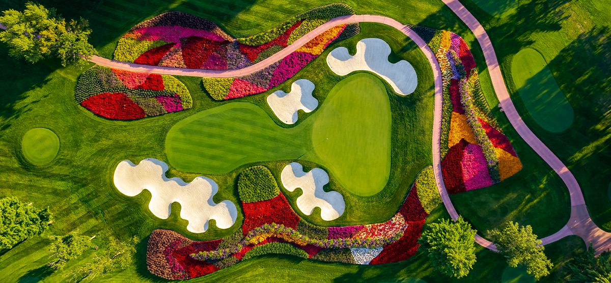 Aerial view of the sixteenth hole's putting green and flower hazard at SentryWorld