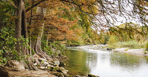Fall scene at Guadalupe River State Park
