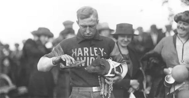 Most Recognized Photo in Harley-Davidson History | Harley