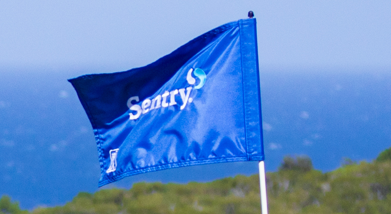 Blue Sentry flag waving against a blue sky with green trees in the background