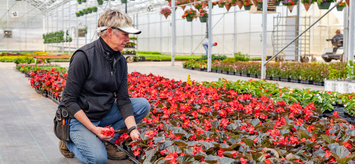 carousel-heath-farms-2-1200x556 Heidi Heath in Heath Farms greenhouse.