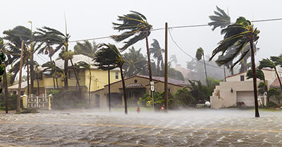 A flooded road and palm trees blowing in hurricane winds