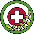 Icon of a medical symbol