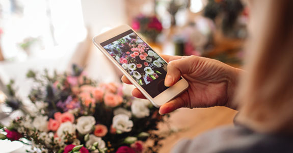 Smartphone photographing flowers