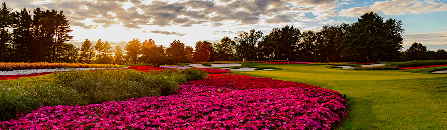 SentryWorld Golf Course Flower hole at sunset