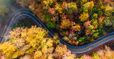 Aerial of road in fall forest