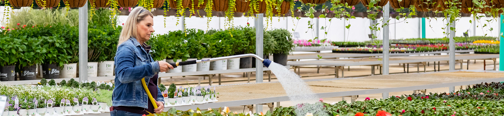 A woman watering plants in a greenhouse.