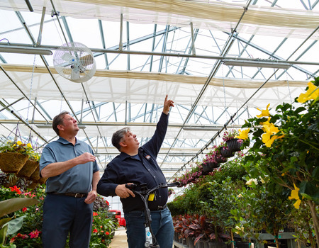 two men inside a greenhouse looking at the ceiling